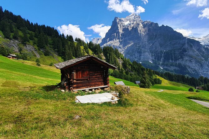 Grindelwald First (Top of Adventure) Ticket Incl. Cliff Walk - Cancellation Policy