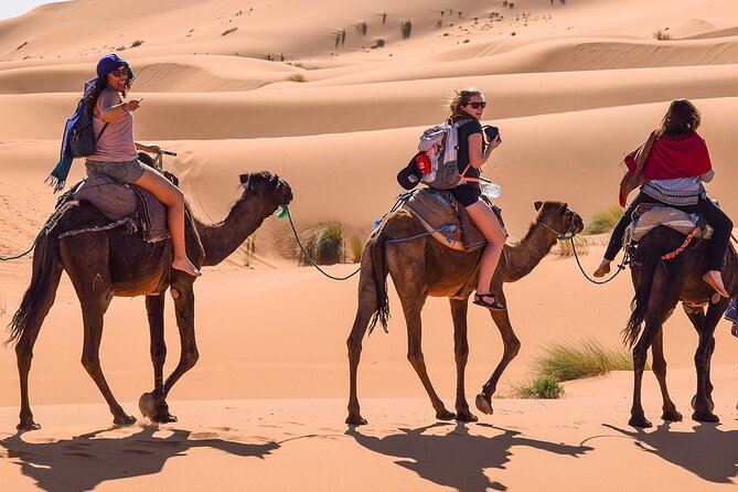 Group 3-Day Marrakech to Merzouga Desert Tour - Common Questions