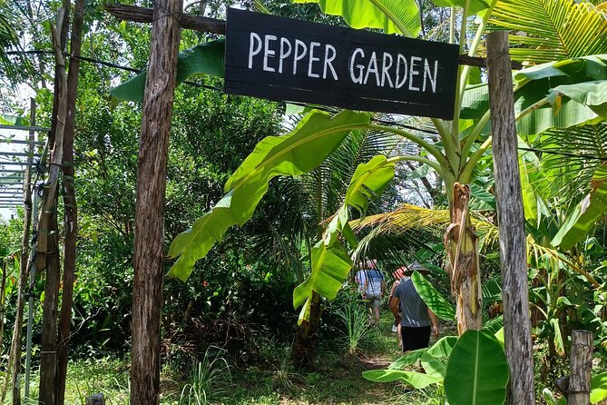 Guaranteed Departures: Vinpearl Safari & Countryside Pepper Farm - Inclusions: Air Conditioned Vehicle & Entrance Fees