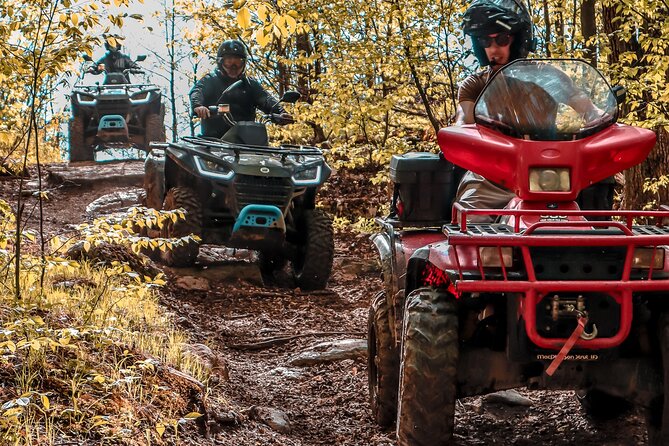 Guided ATV Adventure Tours in Kaladar - Recommendations and Restrictions