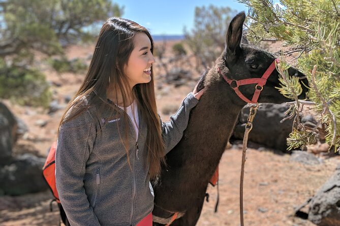 Guided Awesome 2-Hour Llama Hikes Private Experience - Cancellation Policy