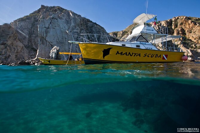 Guided by Divemaster, Cabo San Lucas Short Snorkeling Tour MANTA - Traveler Reviews