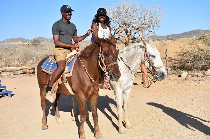 Guided Cabo Horseback Ride With Hotel Pickup  - Cabo San Lucas - Expectations and Limitations