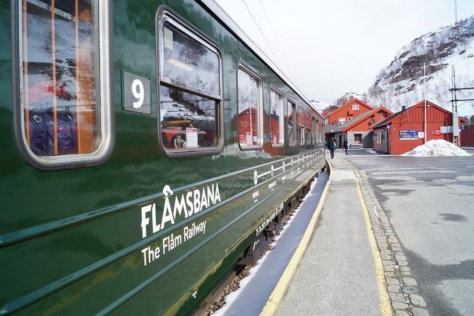 Guided Day Tour - Premium Nærøyfjord Cruise and Flåm Railway - Reviews and Testimonials