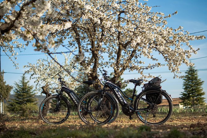 Guided Discovery of Ocher - 1/2 Day - Electric Bike - Reviews and Ratings
