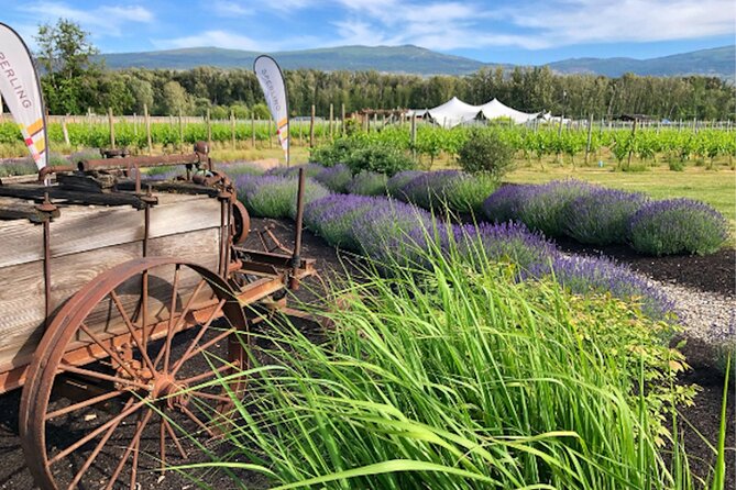 Guided E-Bike Wine Tour With Tastings and Lunch - Meeting and Pickup