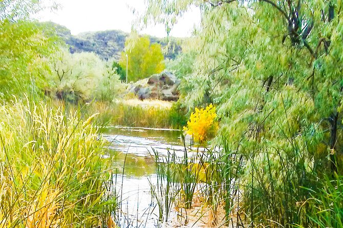 Guided Half-Day Tour to Dierkes Lake & Shoshone Falls - Additional Information