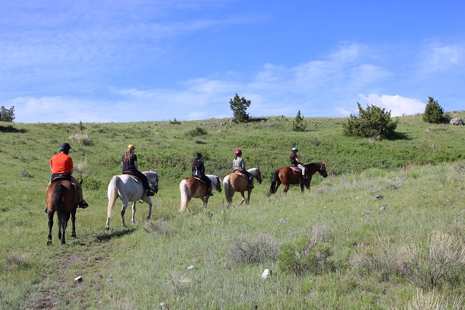Guided Horseback Trek Through Blue Flower Trail - Scenic Photography Stops Along the Trail