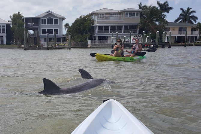 Guided Kayak Eco Tour - Bunche Beach - Traveler Photos and Featured Review