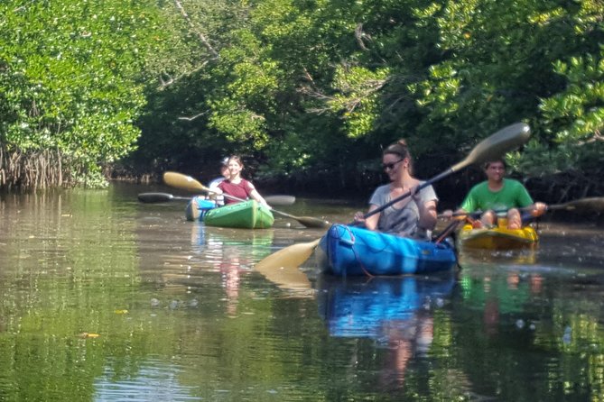 Guided Kayak Tour of Khao Lak Mangroves - Inclusions and Important Information