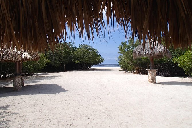 Guided Mangel Halto and Baby Beach Snorkeling Tour From Aruba - The Sum Up
