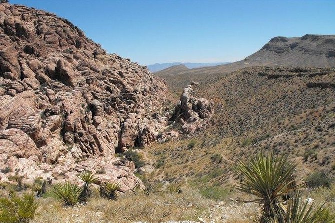 Guided Mountain Bike Tour of Mustang Trail in Red Rock Canyon - Reasons to Choose This Tour