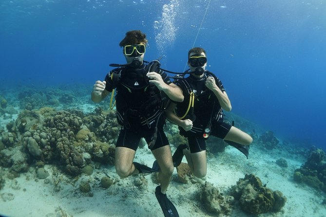 Guided Shore Dive for Certified Divers With Scubaçao (2 Tank) - Common Questions