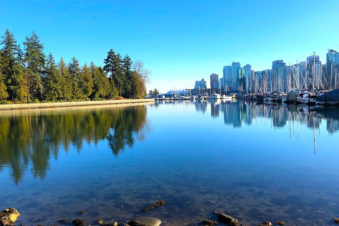Guided Sightseeing Tour in Vancouver, Shannon Falls and Whistler - Reviews and Feedback