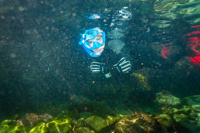 Guided Snorkeling Activity on the Island of Tarifa - Book Your Guided Snorkeling Experience