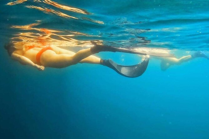 Guided Snorkeling Busselton Jetty and Underwater Sculptures - Inclusions and Professional Guides