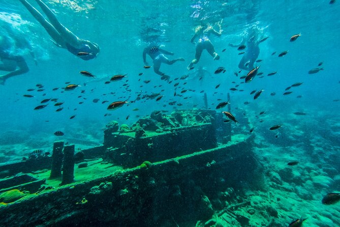 Guided Snorkeling Excursion in Curacao - Traveler Photos, Reviews, and Customer Feedback