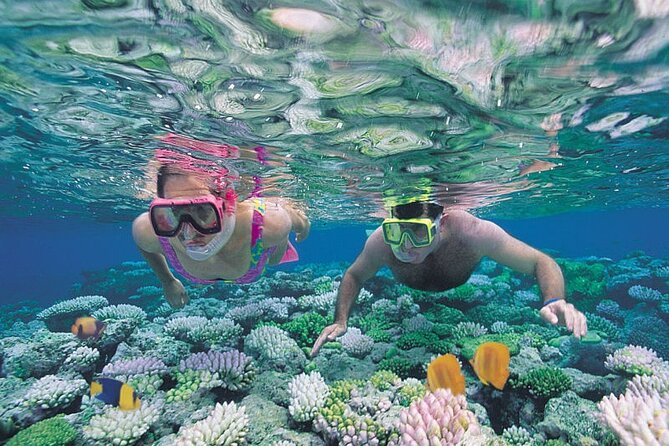 Guided Snorkeling Experience in Caleta De Fuste - Boat Ride to Snorkeling Site