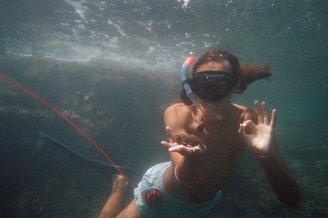 Guided Snorkeling in a Secret Spot of Begur, Costa Brava - Wildlife and Marine Life Encounters