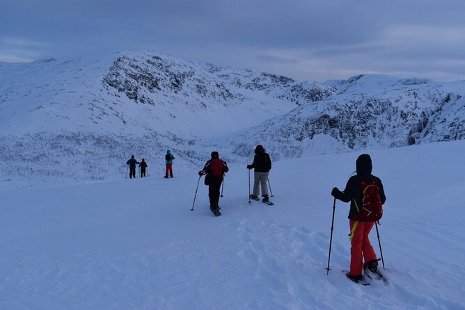 Guided Snowshoe Walk on Tromsoya Island in Tromso - Cancellation Policy