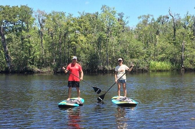 Guided Stand-Up Paddleboard - What to Expect