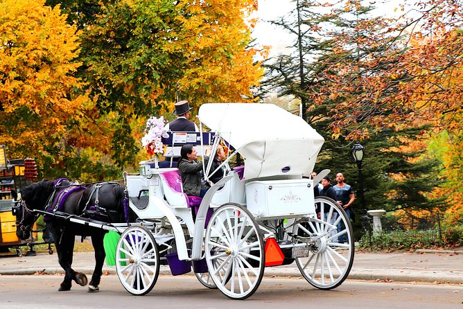 Guided Standard Central Park Horse Carriage Ride (Up to 4 Adults) - Cancellation Policy