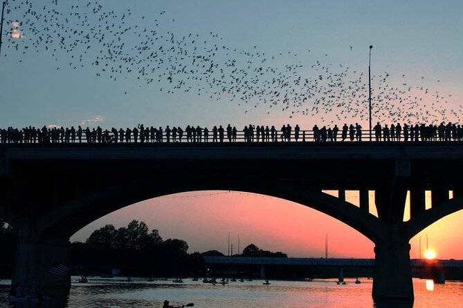 Guided Sunset Bat Kayak Tour in Austin - Traveler Photos and Reviews