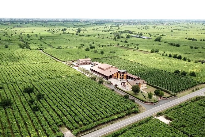 Guided Tour and Wine Tasting in the Sandro De Bruno Winery - Common Questions