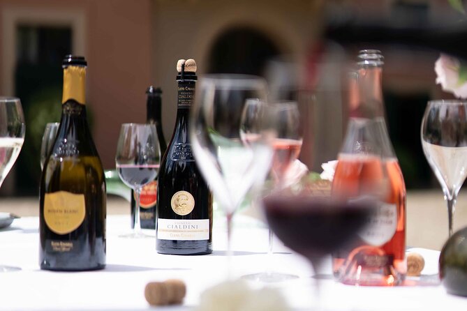 Guided Tour Cleto Chiarli With Lambrusco Tasting - Accessible Customer Support