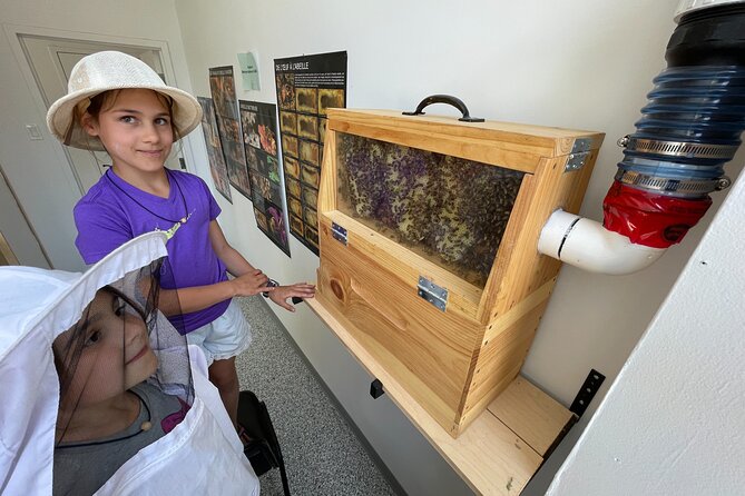 Guided Tour From the Bee to the Bottle and Tasting - English - Tour Details