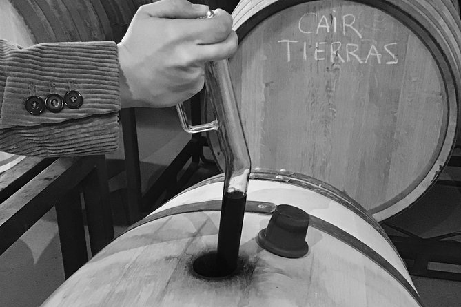 Guided Tour Glass in Hand With Wine Tasting Directly From the Barrel - Cancellation Policy and Reviews
