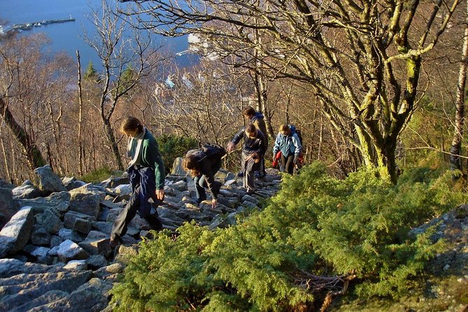 GUIDED TOUR: Hiking to Stoltzekleiven - Expectations and Requirements