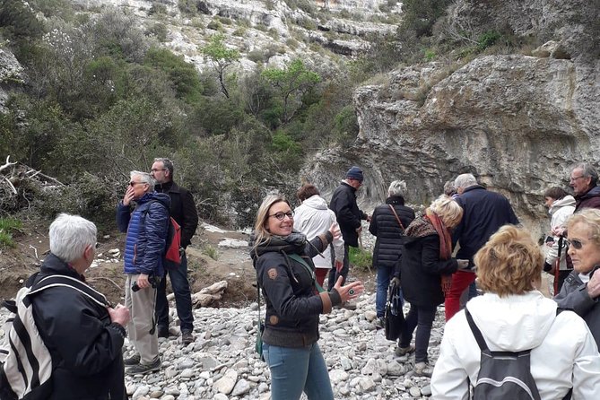 Guided Tour of the Care of Carcassonne - Exploring the Medieval Fortress