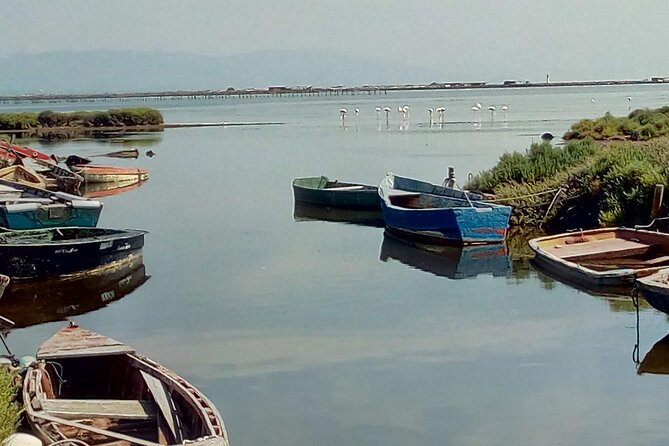Guided Tour of the Ebro Delta - Meeting and Pickup Details