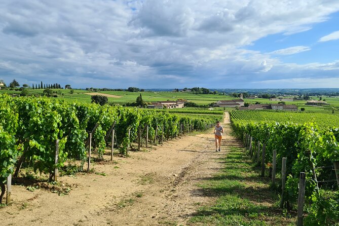 Guided Tour of the Vineyard of Saint Emilion En Courant - The Sum Up