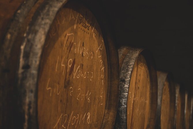 Guided Visit to the Vineyard With Wine Tasting - Copyright and Ownership