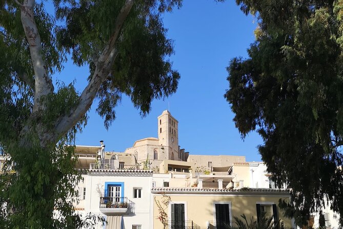 Guided Walking Tour in Dalt Vila and Art Workshop - Traveler Photos