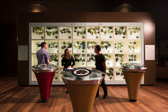 Guided Wine Journey and Discovery Tasting Tour in Adelaide - Meeting and Pickup