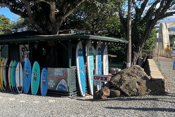 Haleiwa River Paddle Board Rental With Blue Planet Adventure Co. - Customer Reviews