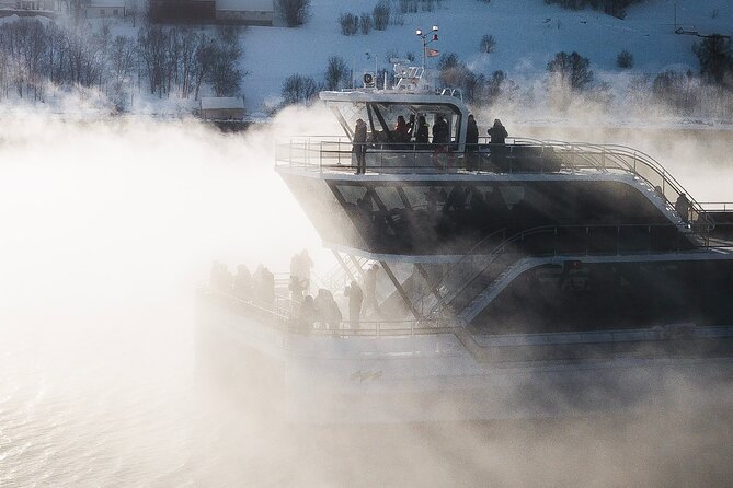 Half Day Arctic Fjord Cruise From Tromso - Educational Experience