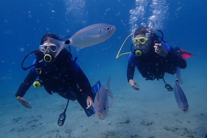 Half Day Boat Diving Experience in Kos Greece - Half-Day Diving Itinerary