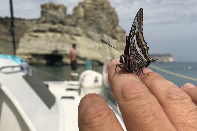 Half Day Catamaran Morning Cruise in Kleftiko - Accessibility and Safety
