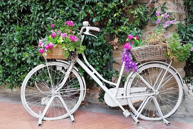 Half-Day Chianti Wine and Olive Oil Tour From Viareggio - Tour Highlights