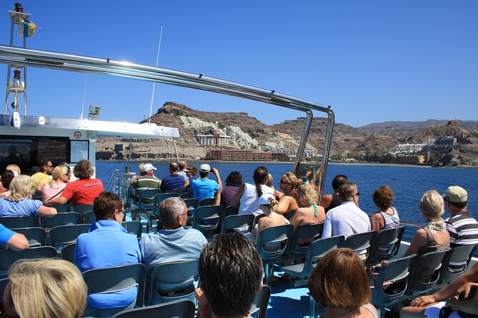 Half-Day Cruise Tour-Dolphin and Whale Watching - Important Booking and Cancellation Policies