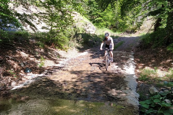 Half-Day E-Mountain Bike Adventure at Aoos Lake Metsovo - Reviews and Ratings