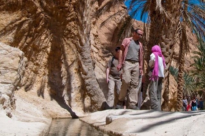 Half-Day Excursion the Mountain Oases From Tozeur - Meeting and Pickup Details