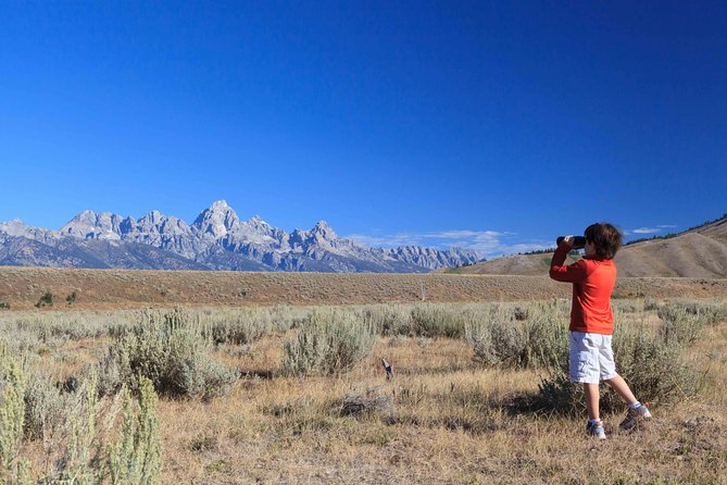 Half-Day Grand Teton Wildlife Safari Private Tour - Highlights of the Tour