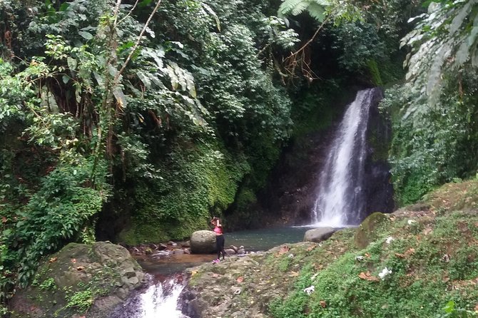 Half Day Grenada Seven Sisters, Grand Etang Nature Center Hiking Tour - Traveler Reviews