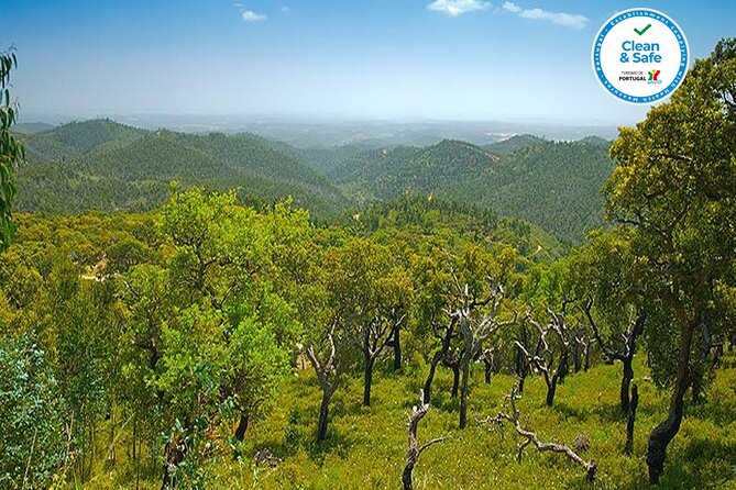 Half Day Historical Tour to Silves and Monchique - Expert Guides and Local Insights