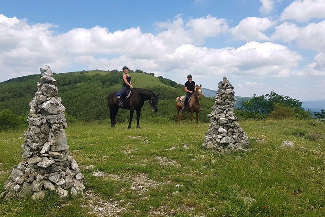 Half-Day Horseback Ride in Tuscany for Beginner Riders - Accessibility and Booking Requirements